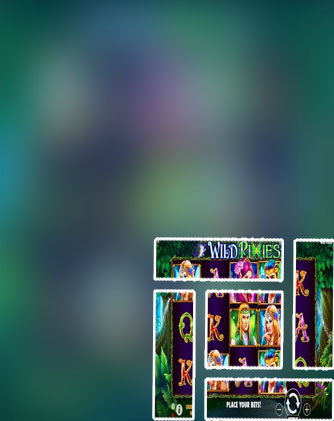 Wild slot game